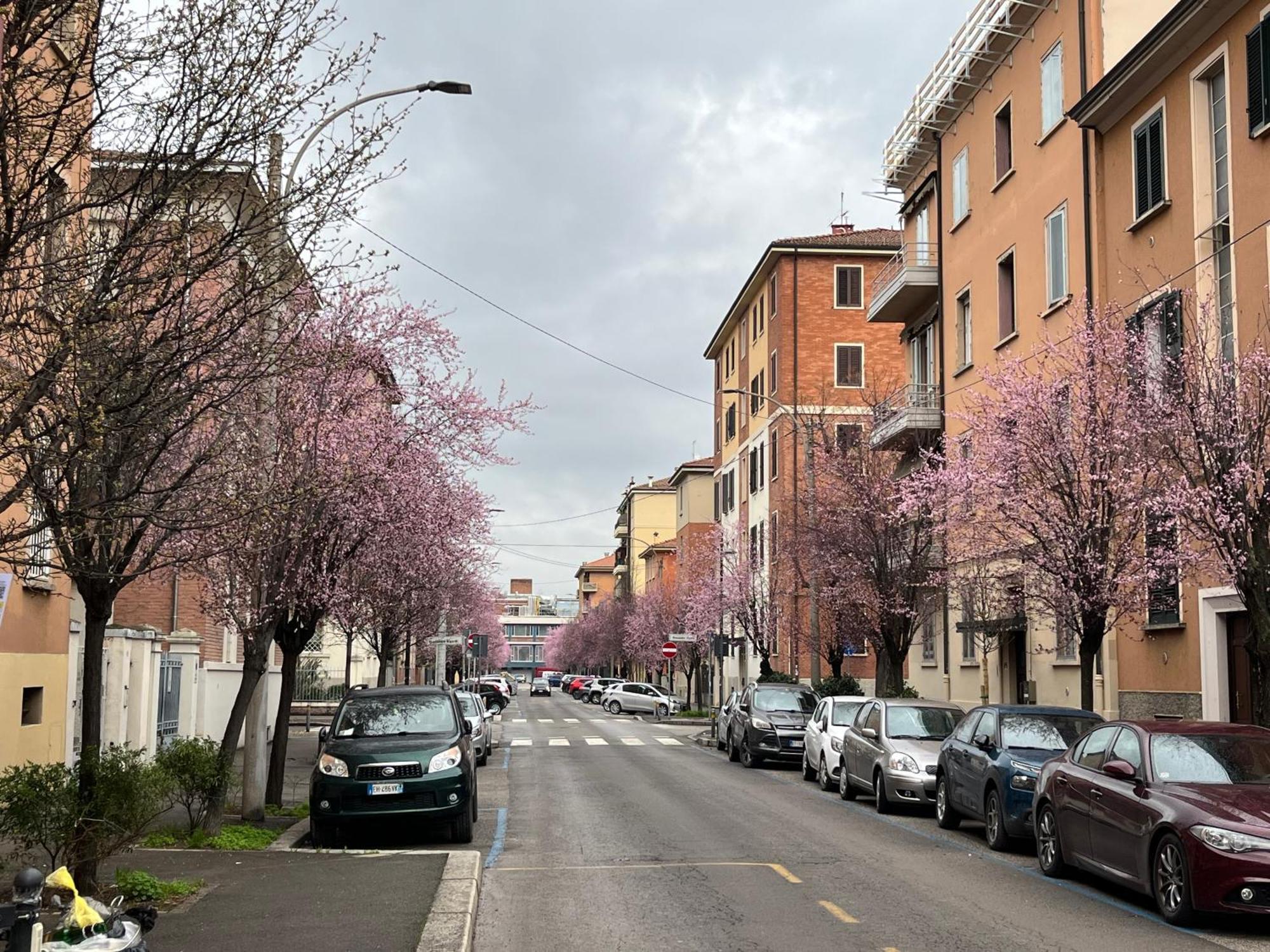 Casa Meli, Ampio Bilocale Nuovo Apartamento Bolonha Exterior foto